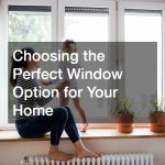Choosing the Perfect Window Option for Your Home